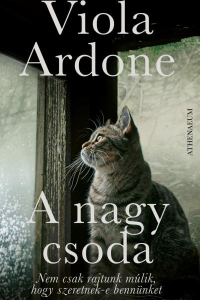 Viola Ardone